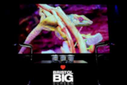 Bristol Big Screen: Screening Room | 200" 4K HDR10 3D Dolby Atmos 2